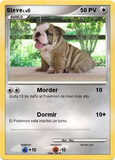 Pokemon Steve