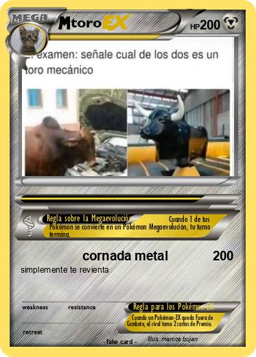 Pokemon toro