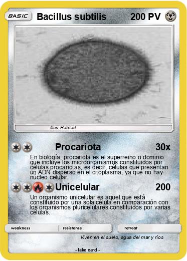 Pokemon Bacillus subtilis