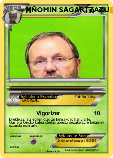Pokemon ÑOMIN SAGARTZAZU