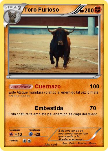 Pokemon Toro Furioso