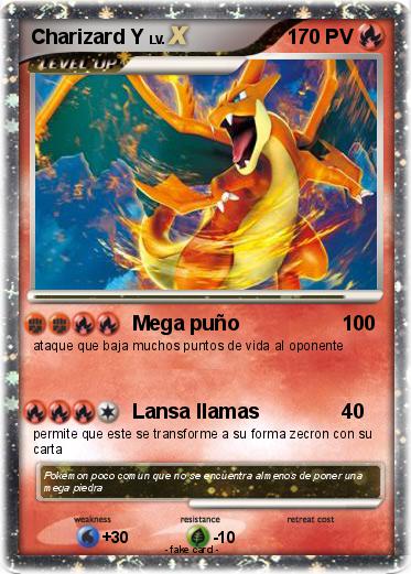 Pokemon Charizard Y
