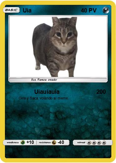 Pokemon Uia