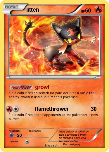 Pokemon litten