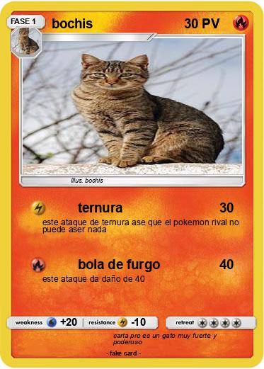 Pokemon bochis