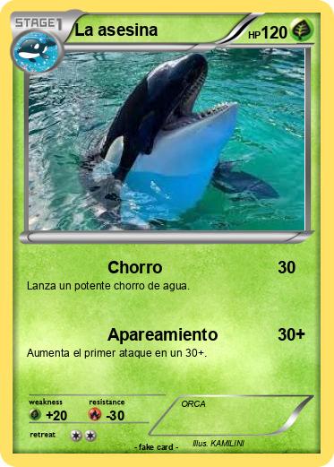 Pokemon La asesina