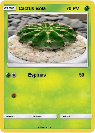 Pokemon Cactus Bola