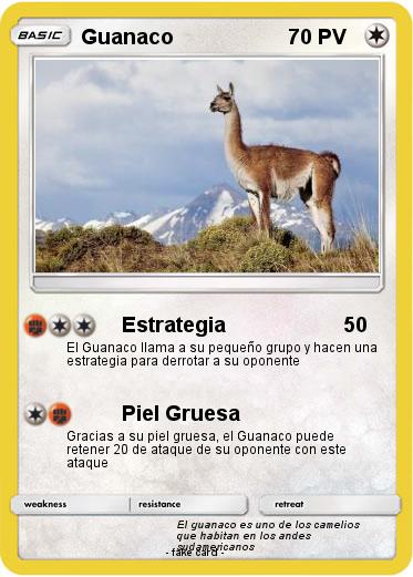 Pokemon Guanaco