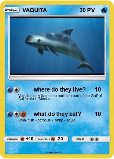 Pokemon VAQUITA