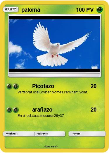 Pokemon paloma
