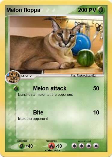 Pokemon Melon floppa
