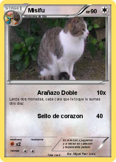 Pokemon Misifu