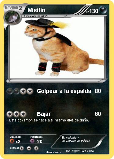 Pokemon Misitin