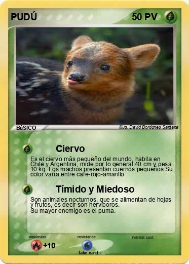 Pokemon PUDÚ