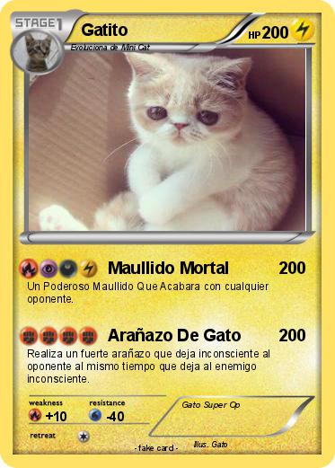Pokemon Gatito
