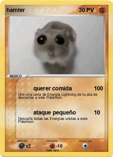 Pokemon hamter
