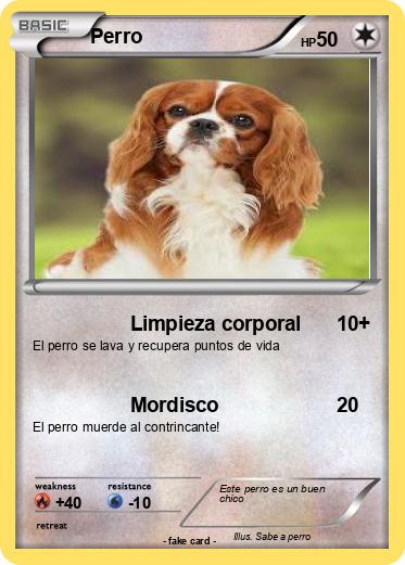Pokemon Perro