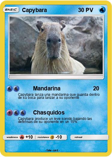 Pokemon Capybara