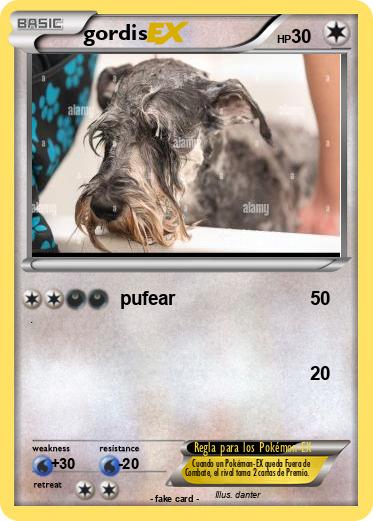 Pokemon gordis