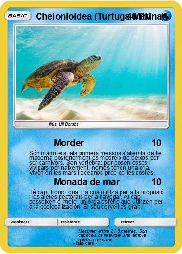 Pokemon Chelonioidea (Turtuga Marina)