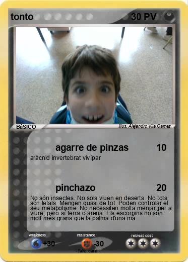 Pokemon tonto