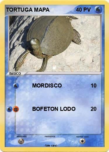 Pokemon TORTUGA MAPA