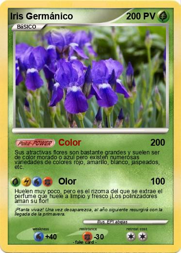 Pokemon Iris Germánico