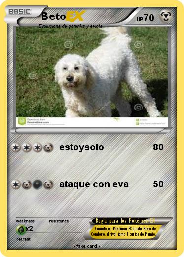 Pokemon Beto