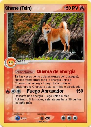 Pokemon Shane (Tein)