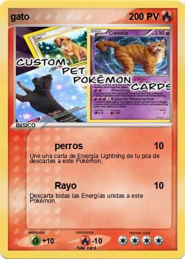 Pokemon gato