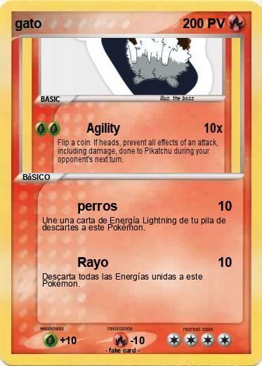 Pokemon gato