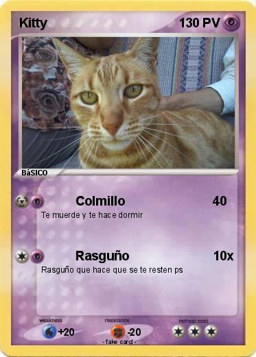Pokemon Kitty