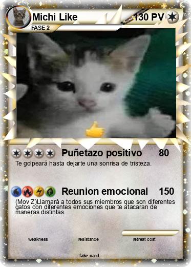 Pokemon Michi Like