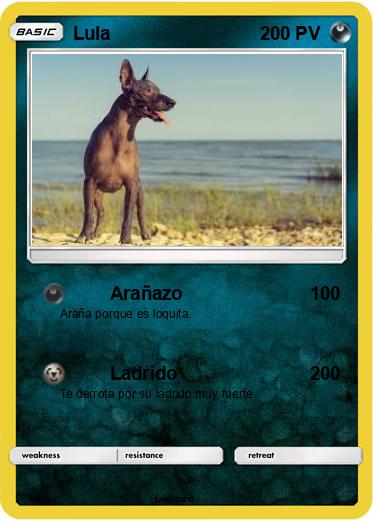 Pokemon Lula