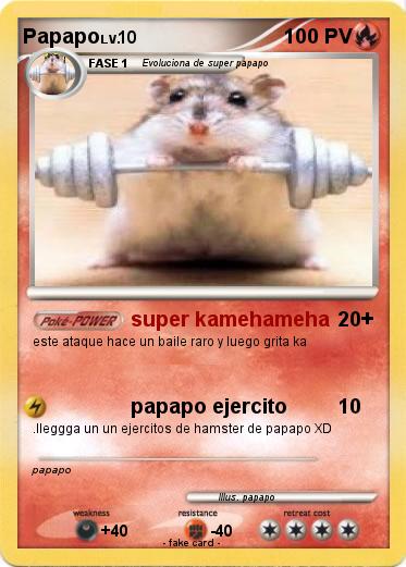 Pokemon Papapo