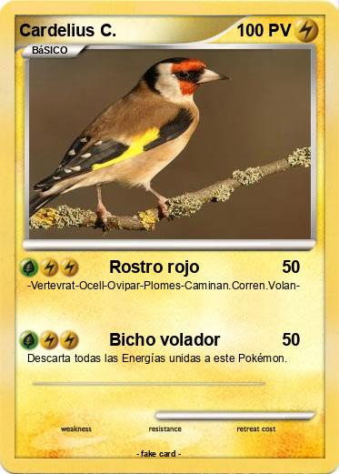 Pokemon Cardelius C.