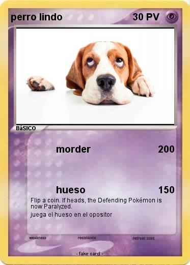 Pokemon perro lindo