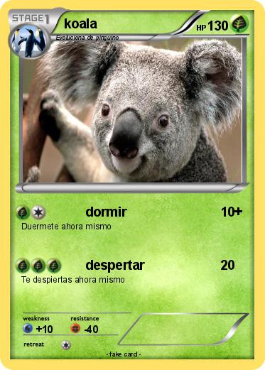 Pokemon koala