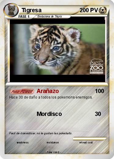 Pokemon Tigresa