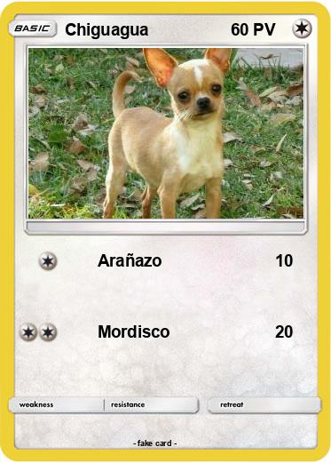 Pokemon Chiguagua