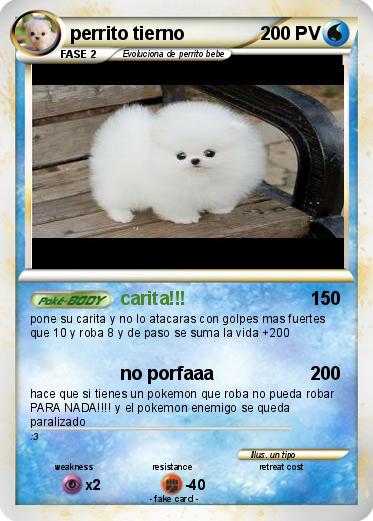 Pokemon perrito tierno