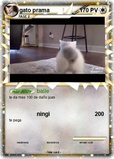 Pokemon gato prama