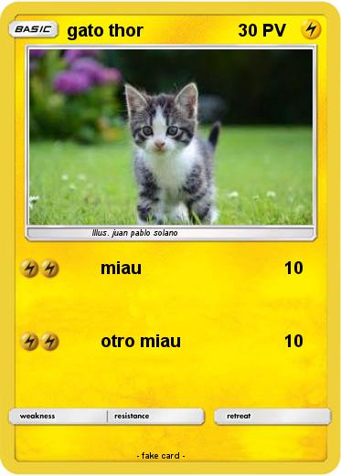 Pokemon gato thor