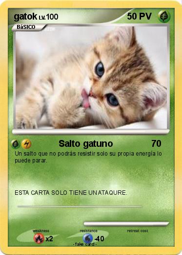 Pokemon gatok