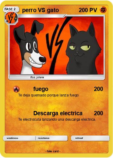 Pokemon perro VS gato