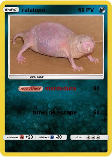 Pokemon ratatopo