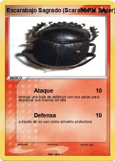 Pokemon Escarabajo Sagrado (Scarabaeus Sacer)