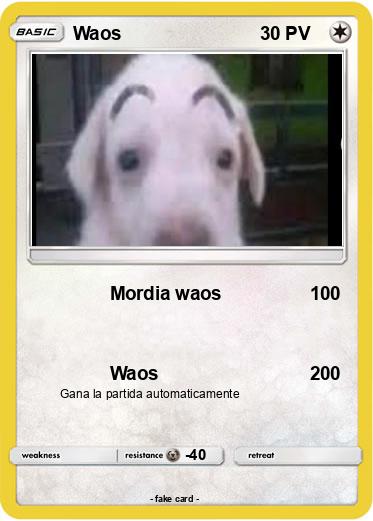 Pokemon Waos