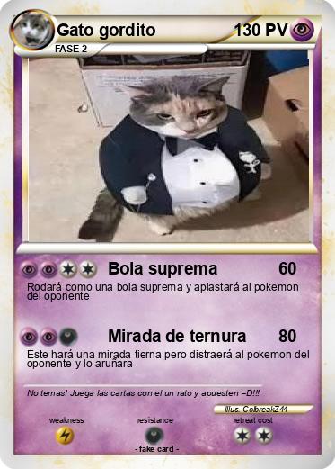 Pokemon Gato gordito