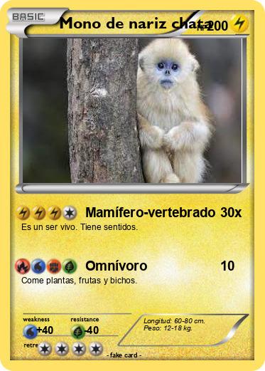 Pokemon Mono de nariz chata